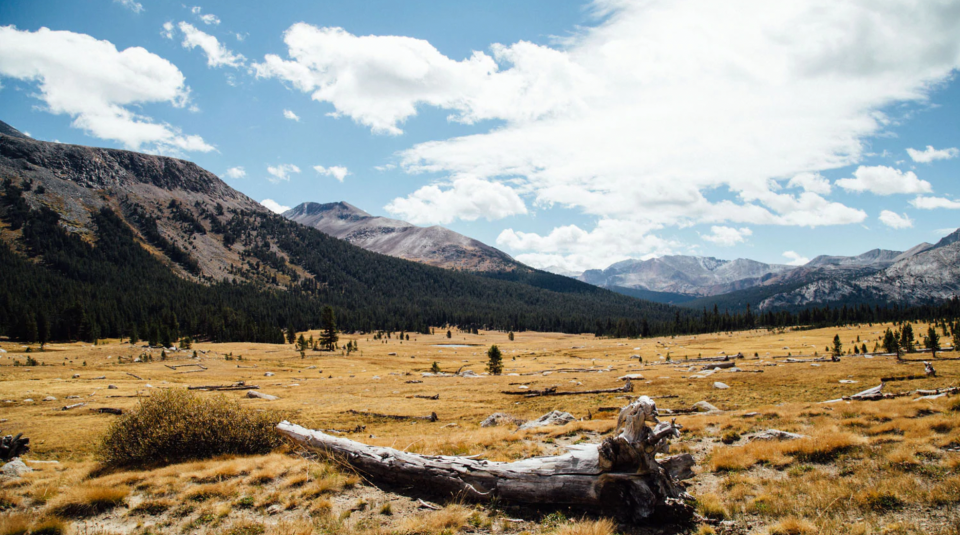 1920 x 1070 – Header (1)