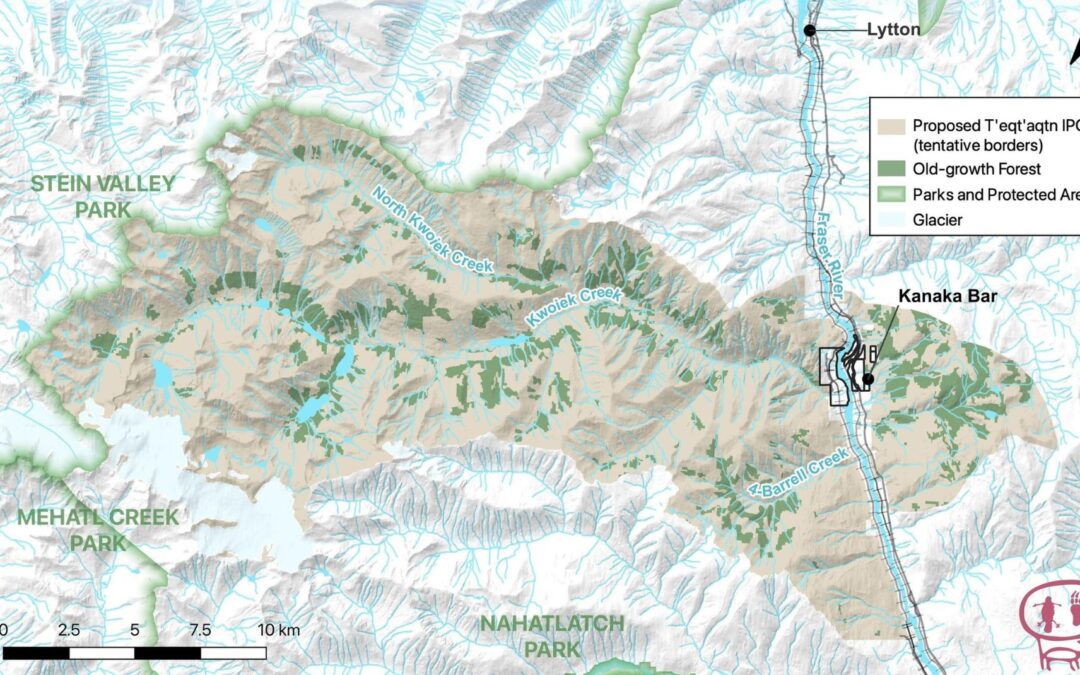 Kanaka Bar Indian Band To Protect Unique Old-Growth Forests And Endangered Ecosystems In Proposed T’eqt’aqtn Indigenous Protected And Conserved Area