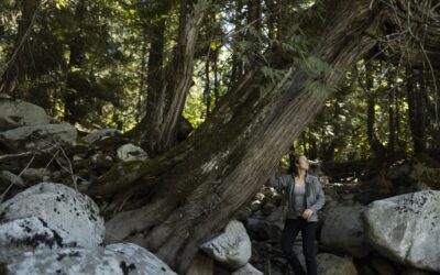 Globe & Mail: B.C. Indigenous conservation plan gets private backing