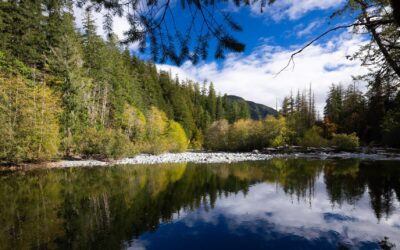 Campbell River Mirror: First Nation Creating New Salmon Parks to Protect Fragile Ecosystems