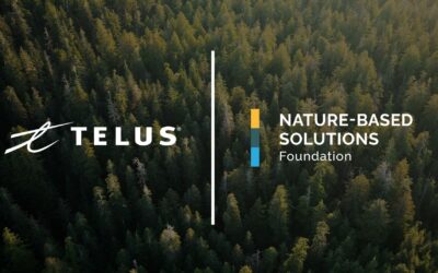 Media Release: Nature-Based Solutions Foundation partners with TELUS to help protect old-growth forests