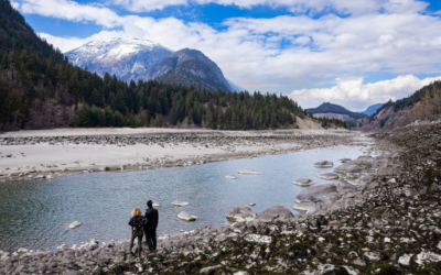 Media Release: First Nation’s Plan to Save Rare BC Old Growth to Move Forward with Stewardship Funding