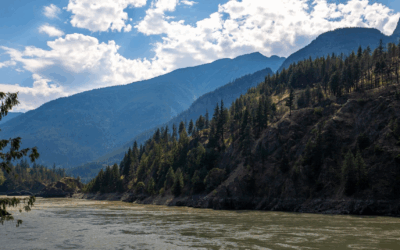 Media Release: First Nation’s Plan to Protect Rare BC Old Growth to Move Forward with Critical Funding Commitment