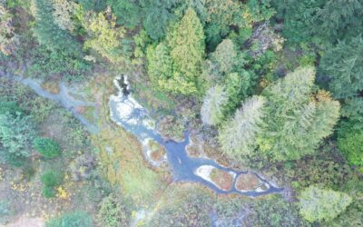 Media Release: Conservation Organization acquires two rare old-growth forest inholdings for Kanaka Bar Band protected area along Fraser River south of Lytton